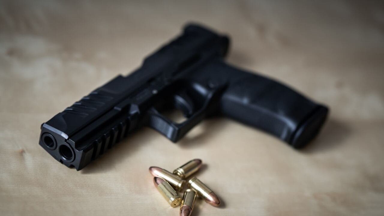 Gun