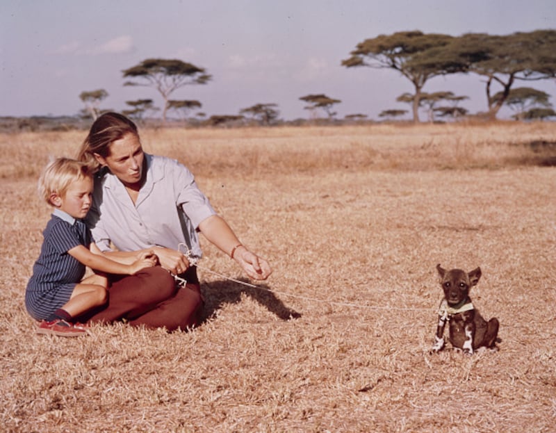 Dr. Jane Goodall