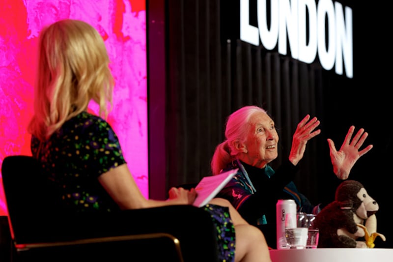 Dr. Jane Goodall