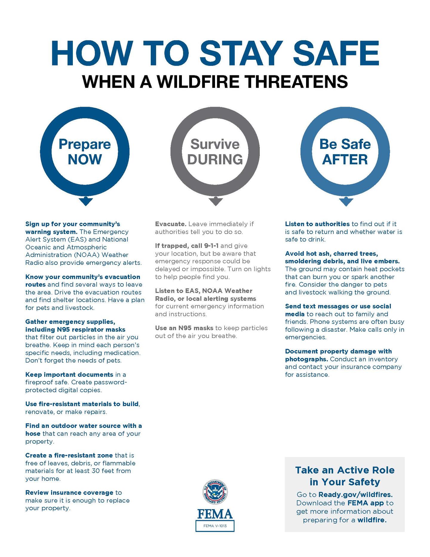 Wildlife preparations infographic